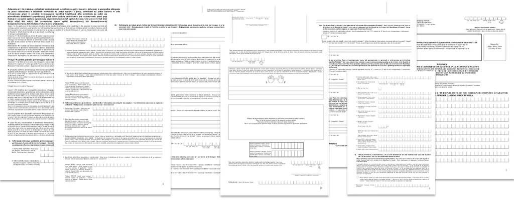 Какие документы нужны для подачи в Познани